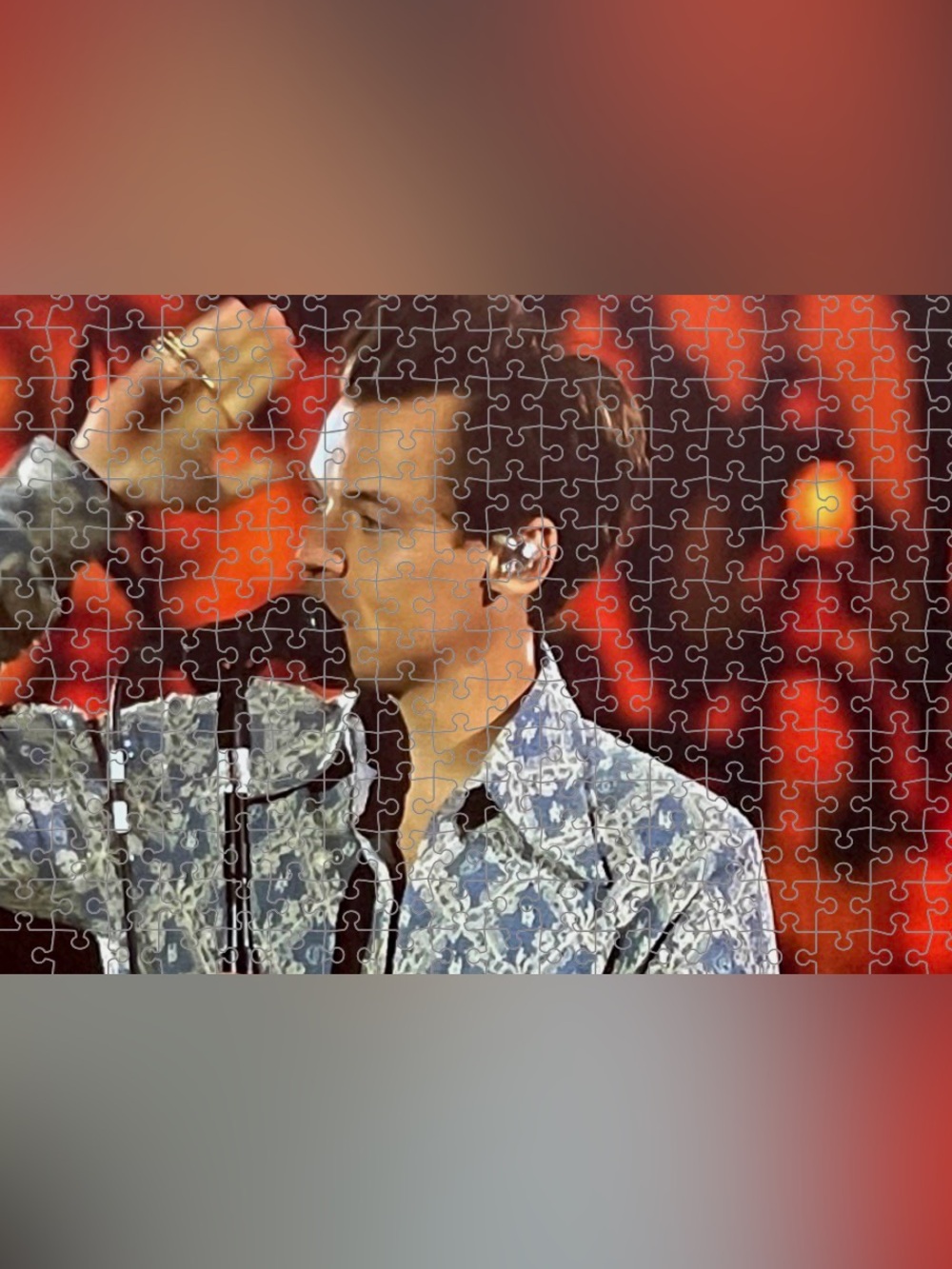 Harry Styles Puzzle  - 10x14